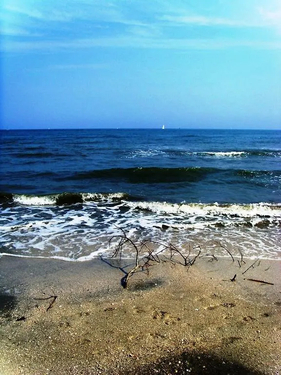 Hotel Zani Cervia